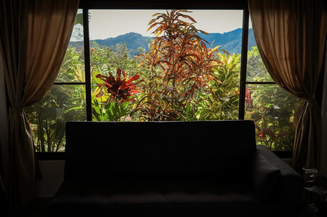 The Golden Frog Inn El Valle de Anton Экстерьер фото