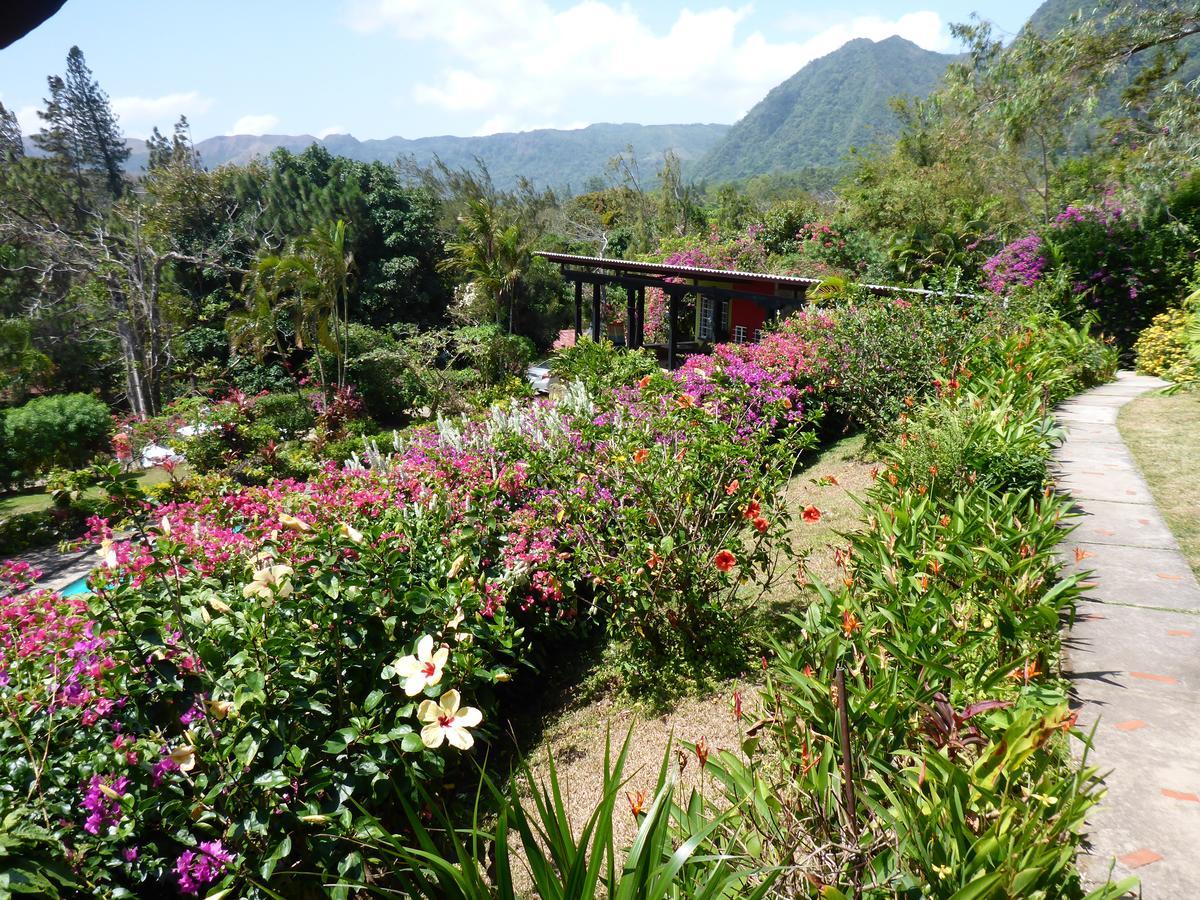 The Golden Frog Inn El Valle de Anton Экстерьер фото