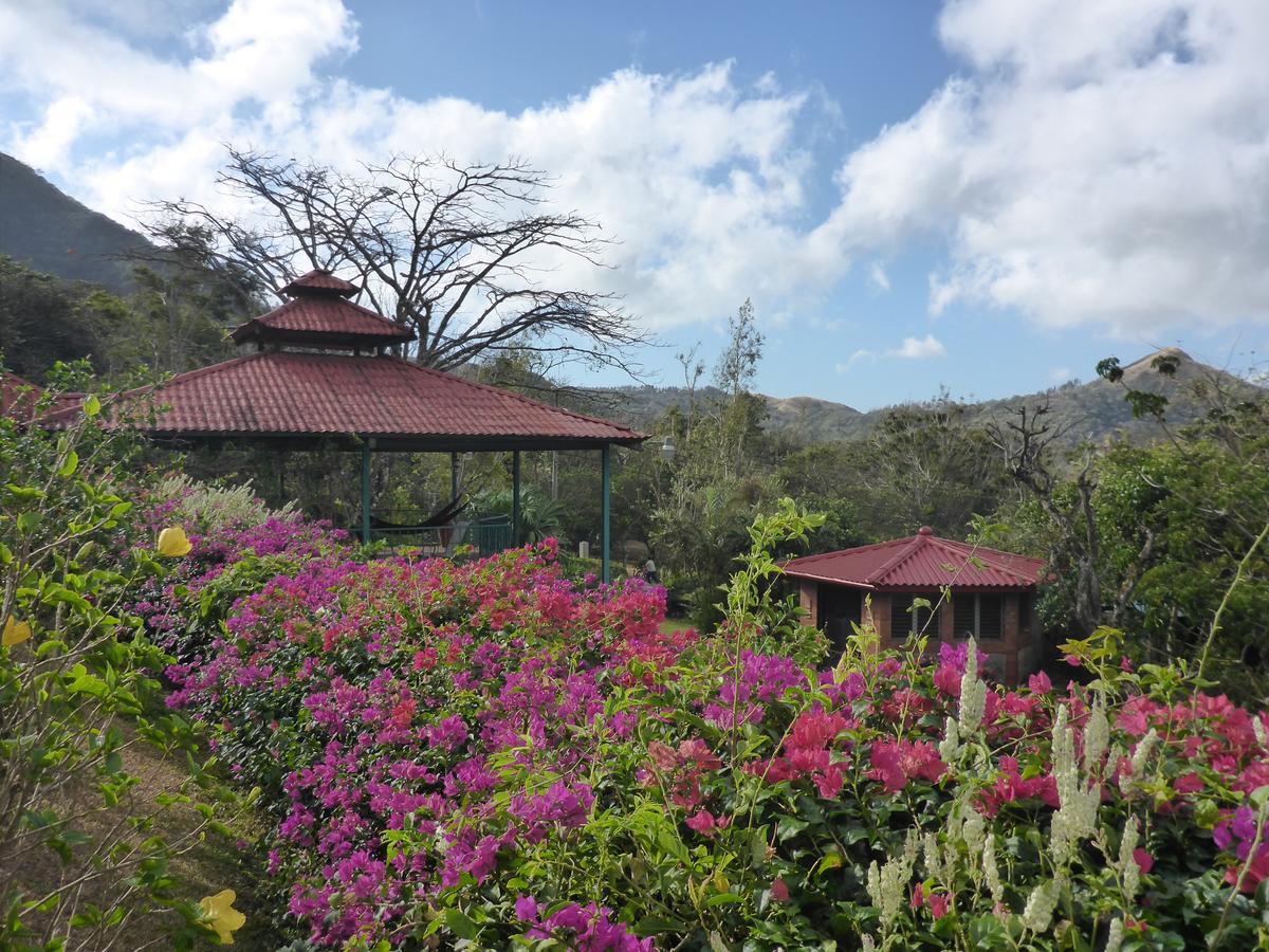 The Golden Frog Inn El Valle de Anton Экстерьер фото