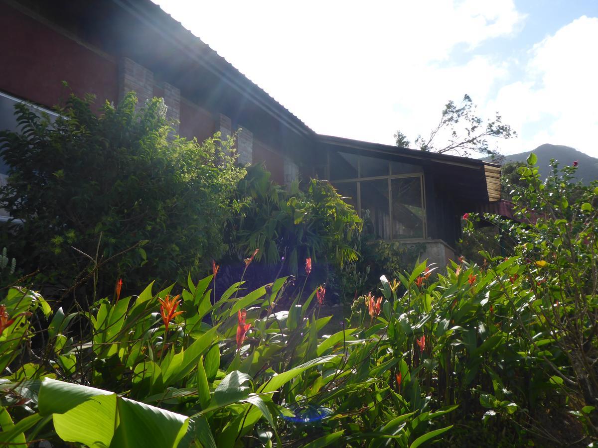 The Golden Frog Inn El Valle de Anton Экстерьер фото